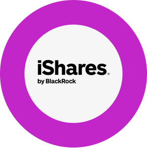 iShares MSCI EM UCITS ETF USD
